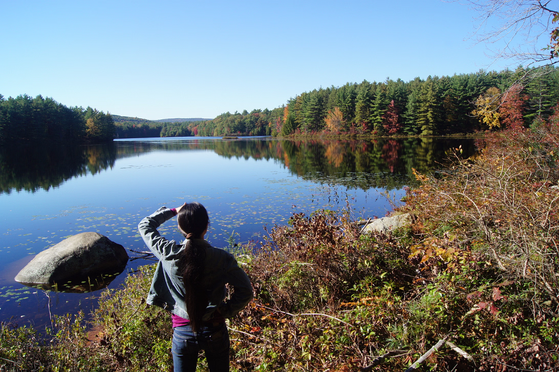New_England_Fall_2014-010