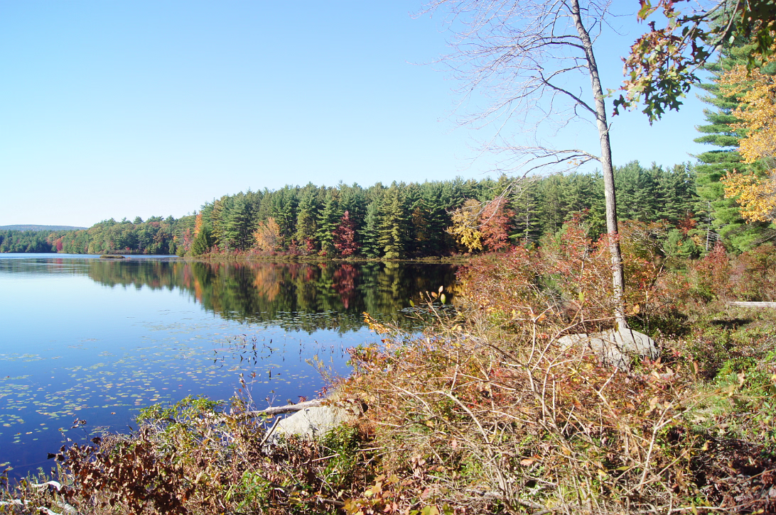 New_England_Fall_2014-015