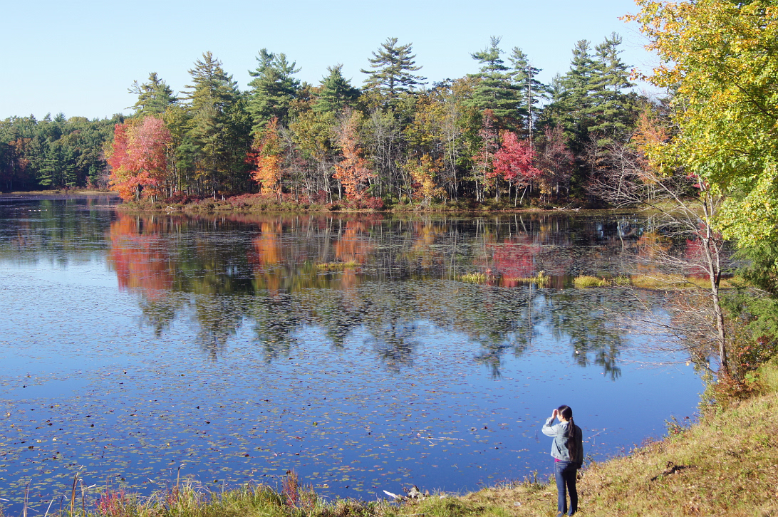 New_England_Fall_2014-018