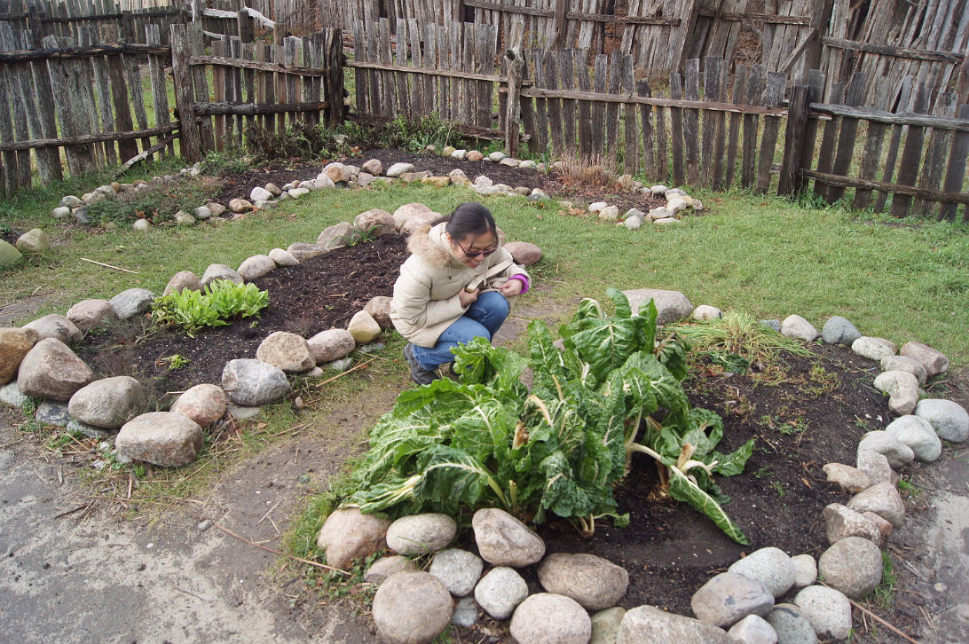 Thanksgiving_2014-016
