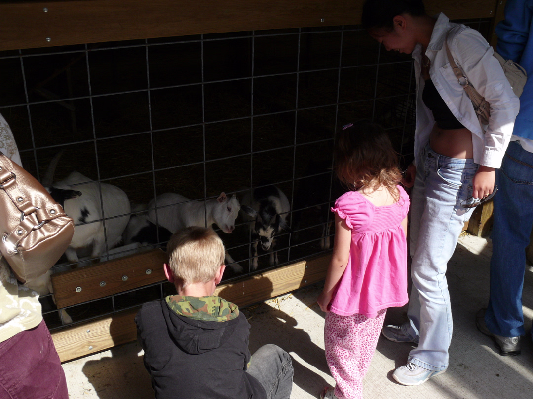 Apple_Orchard_Day-007