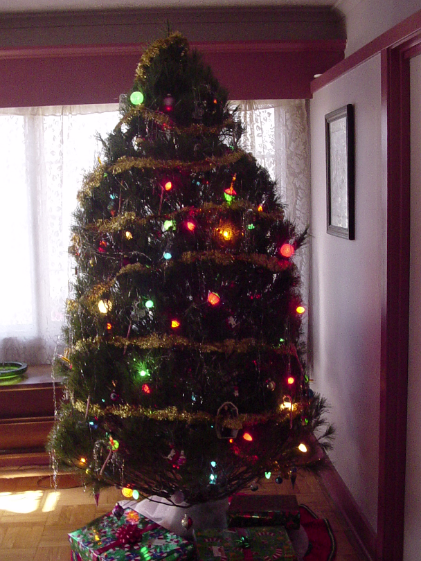Christmas_2003-003