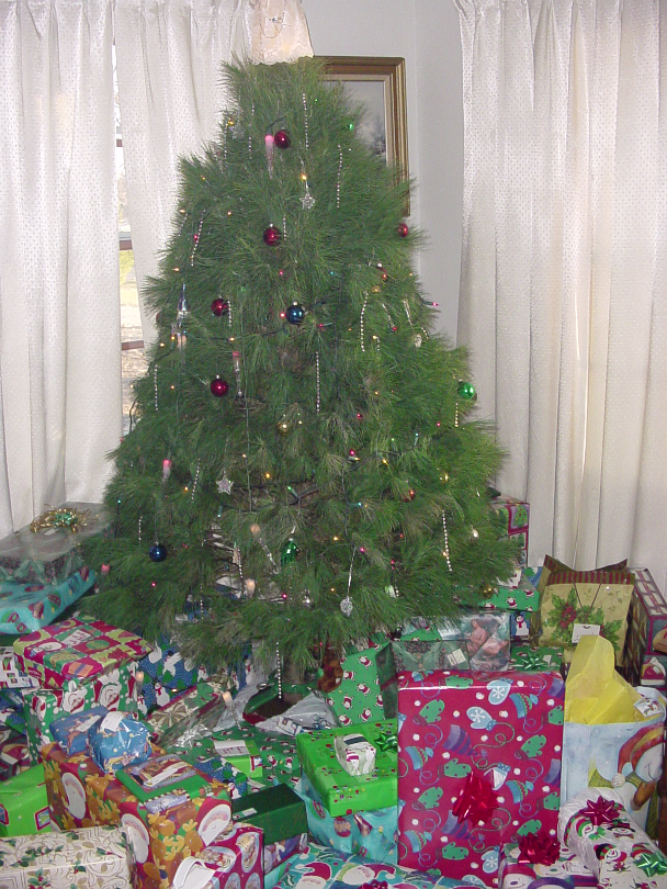Christmas_2003-005