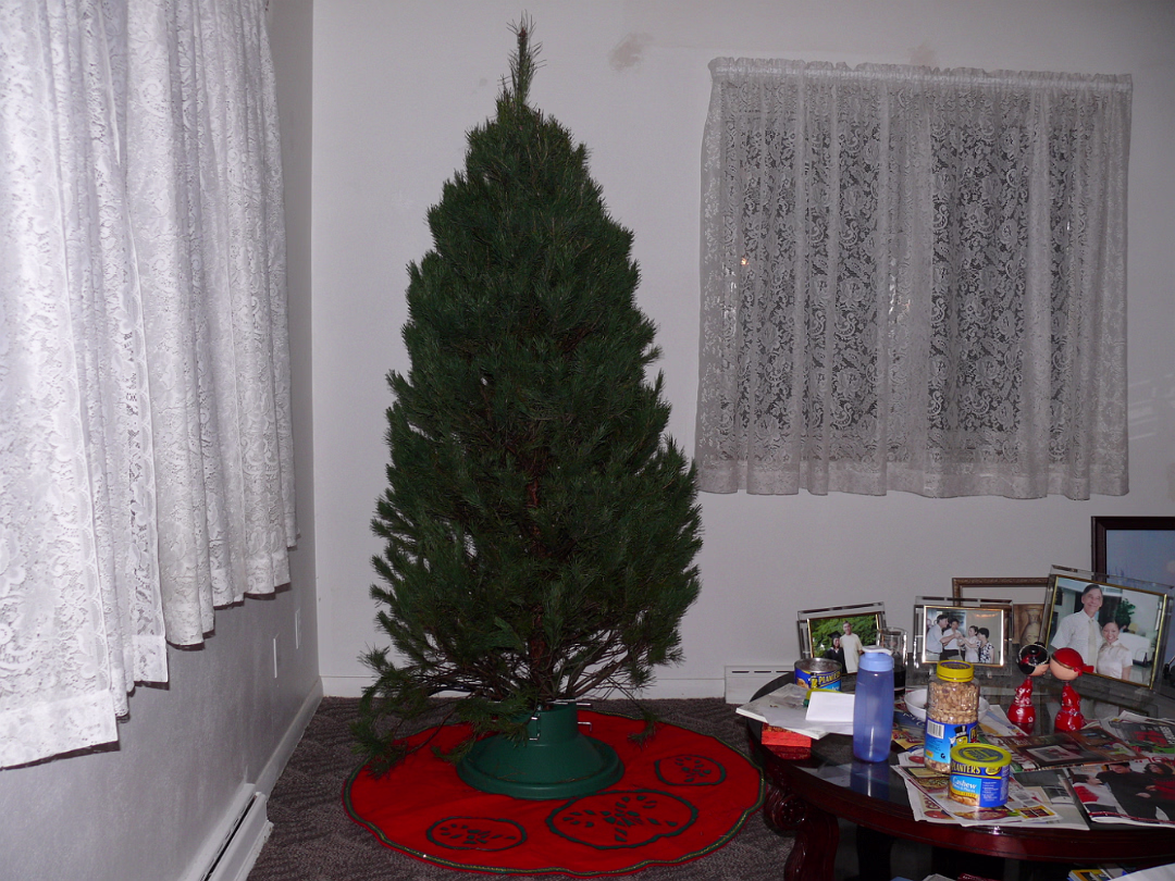 Christmas_2007-004