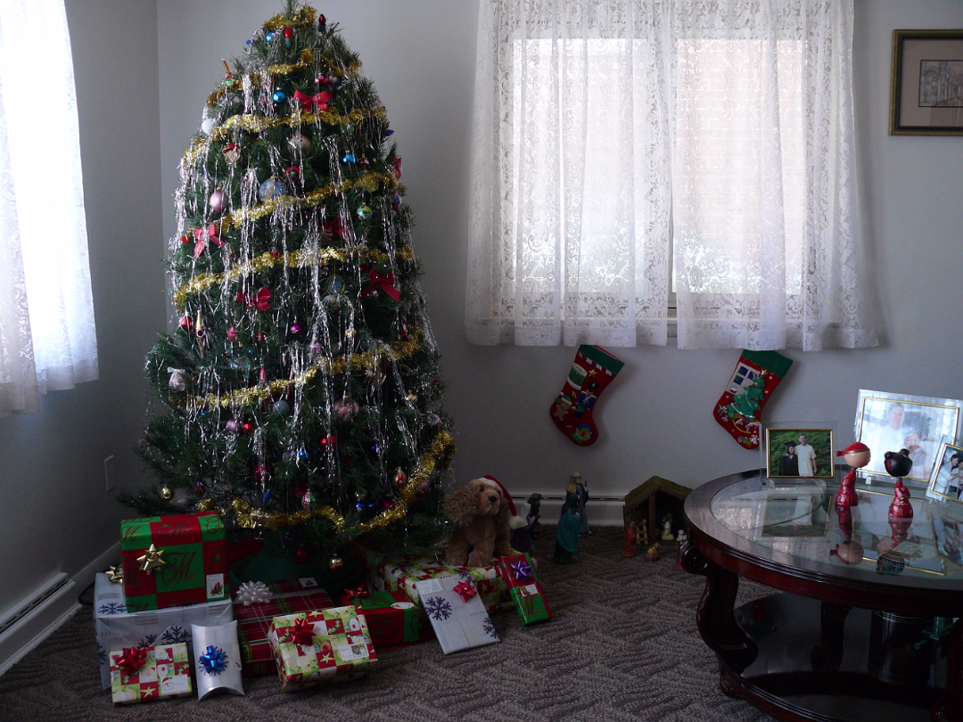 Christmas_2007-013