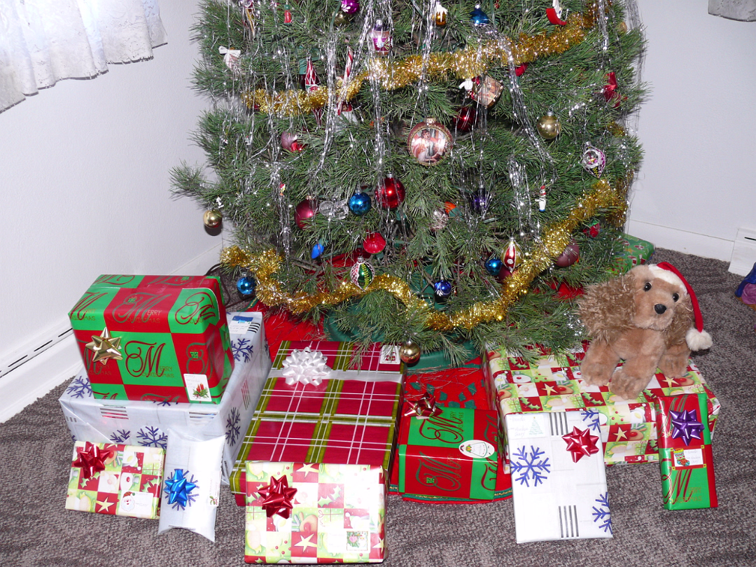 Christmas_2007-014