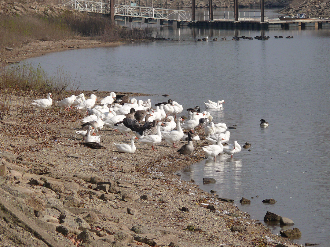 Fall_2008-002