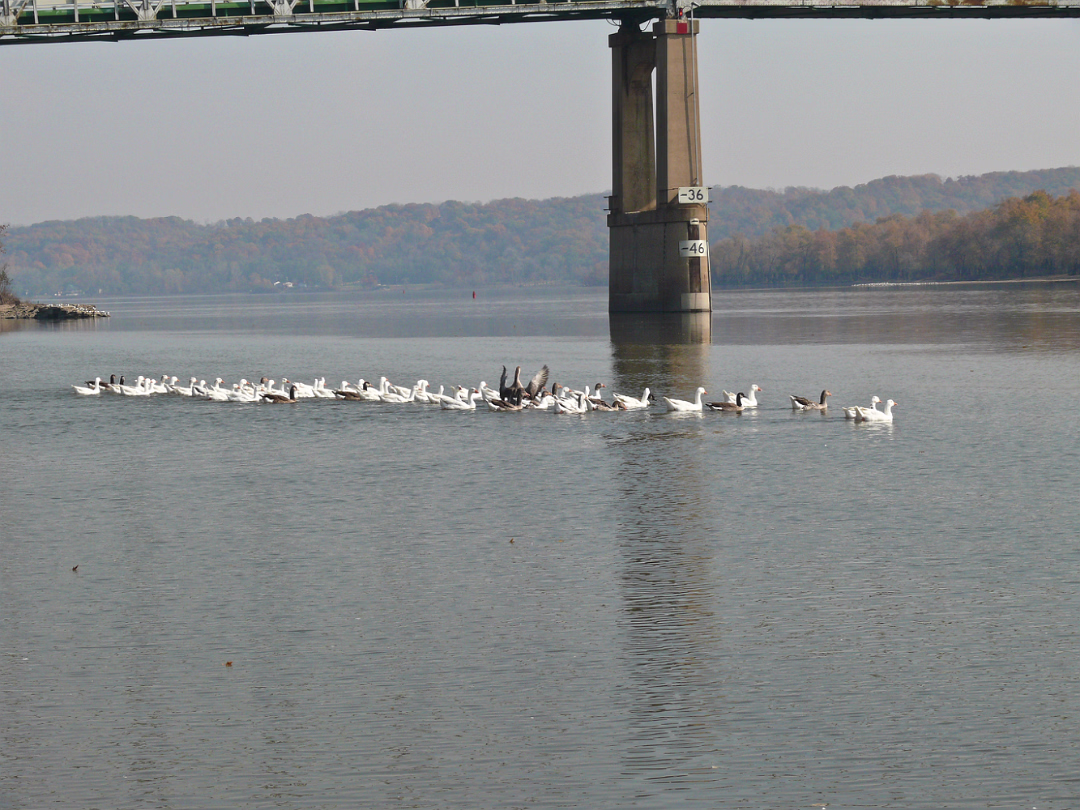 Fall_2008-005