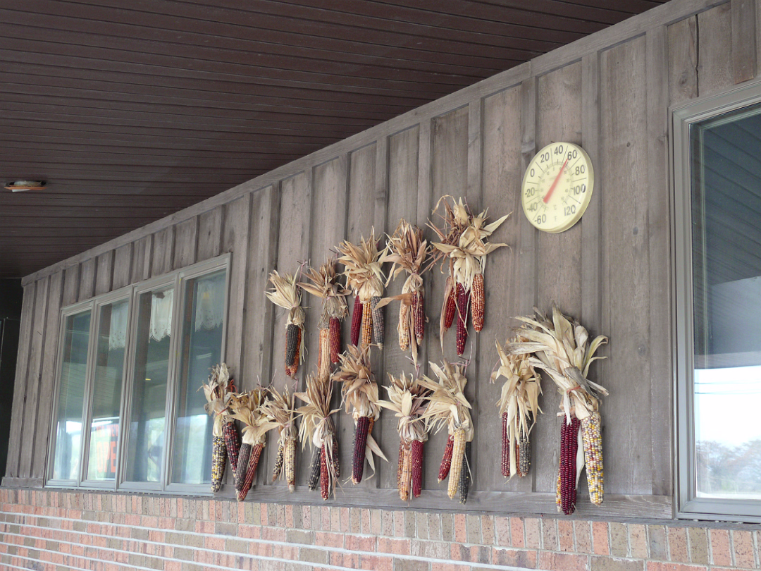 Fall_2008-009