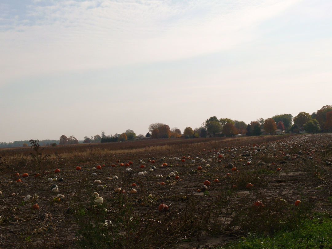 Fall_2008-010