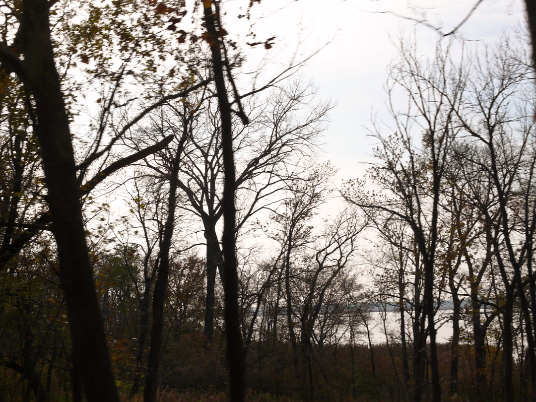 Fall_2008-012