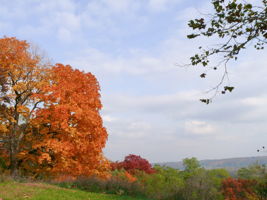 Fall_2008-016