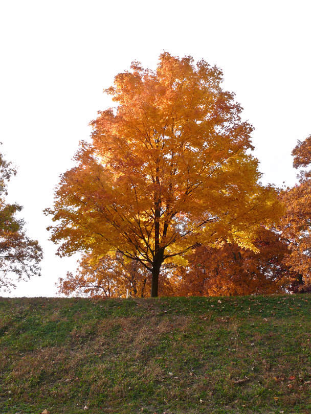 Fall_2008-017
