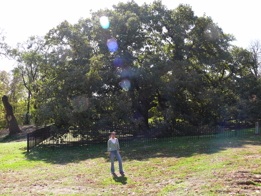 Fall_Color-003