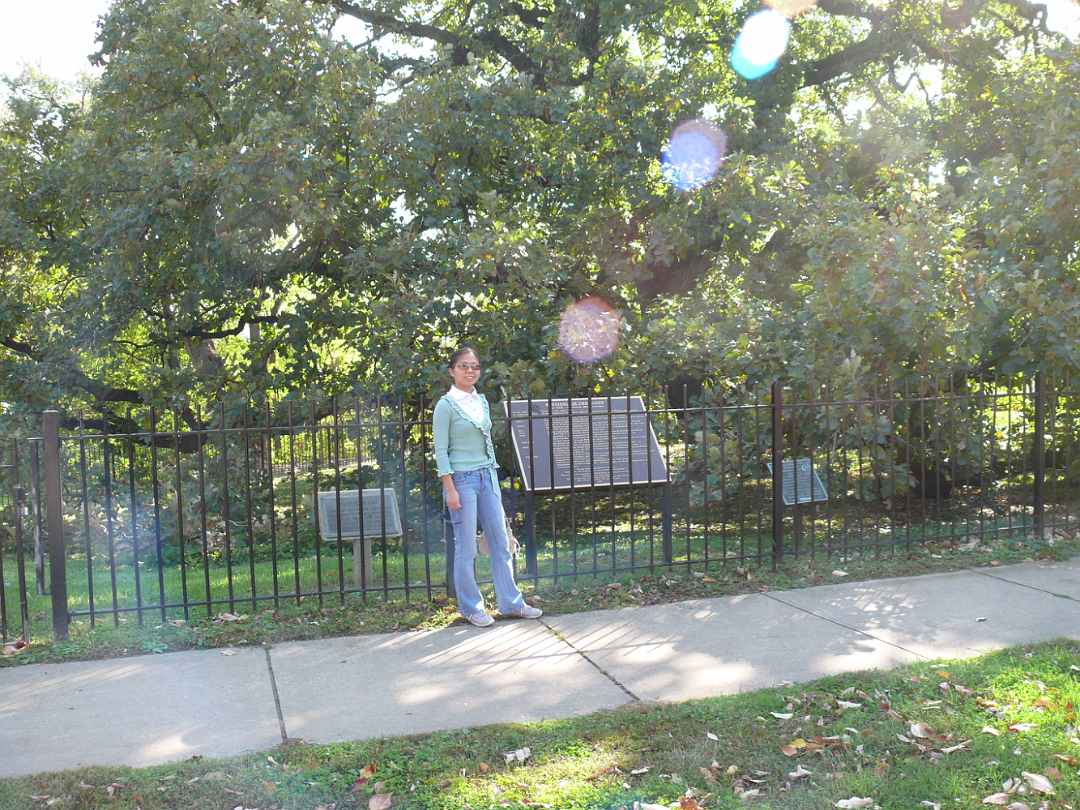Fall_Color-004