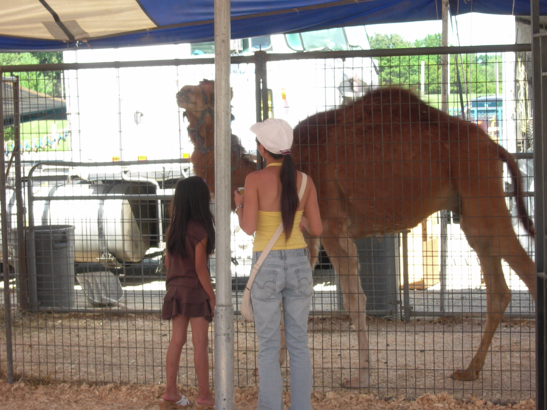 HOIFair_2007-017