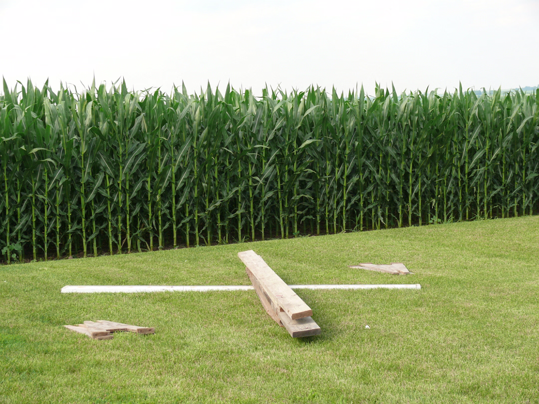 Independence_Day-002