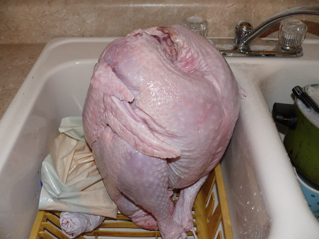 Thanksgiving_2007-015