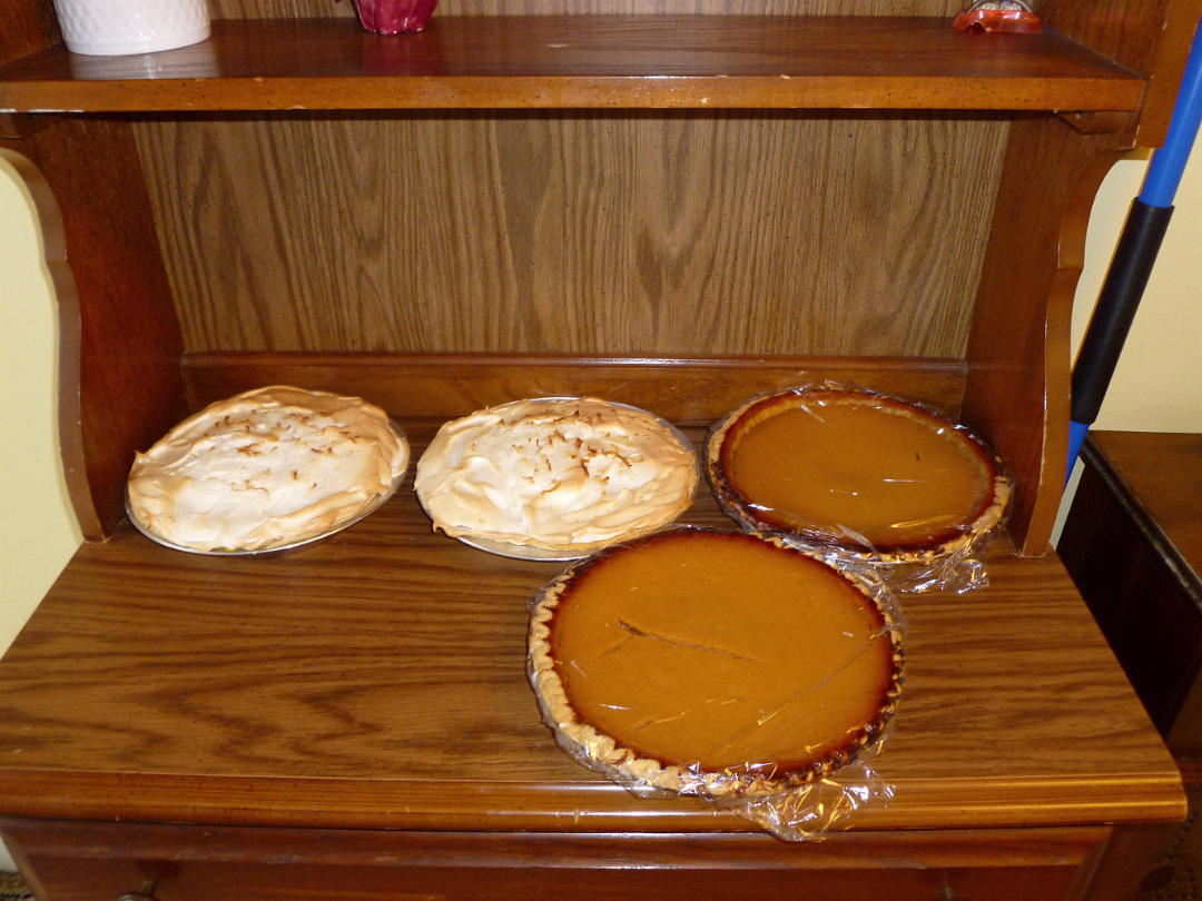 Thanksgiving_2010-002