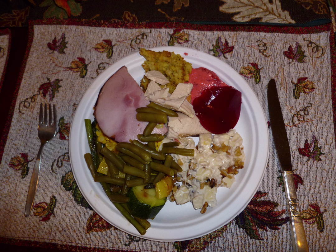 Thanksgiving_2010-014