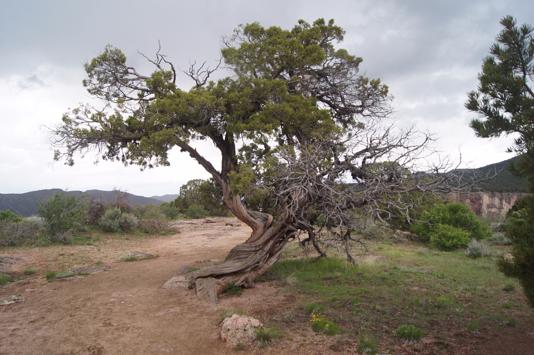 Black_Canyon_of_the_Gunnison_NP-056