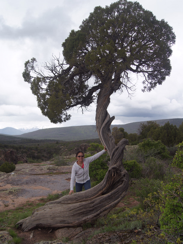 Black_Canyon_of_the_Gunnison_NP-061