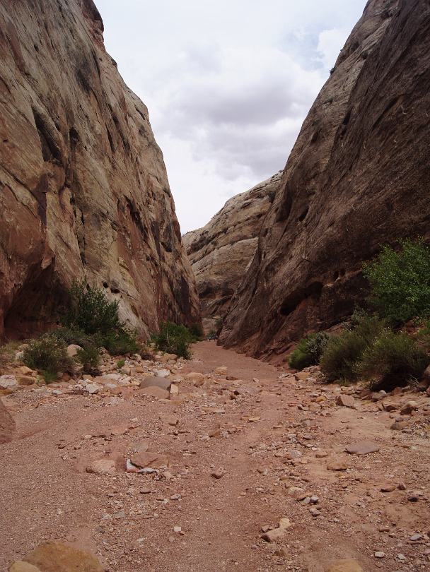 Capitol_Reef_NP-024
