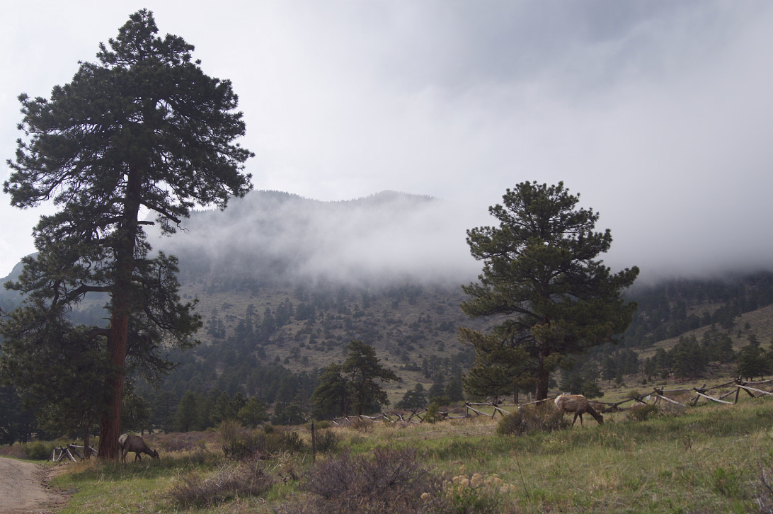 Rocky_Mountain_NP-014