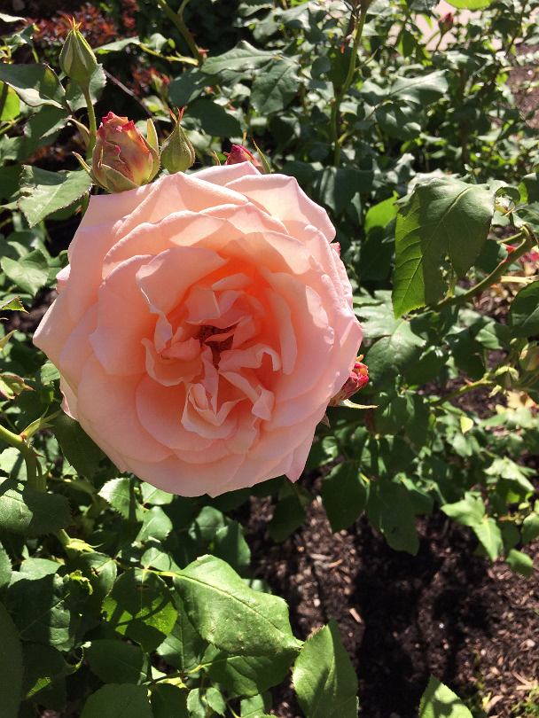 Salt_Lake_City_Area-036
