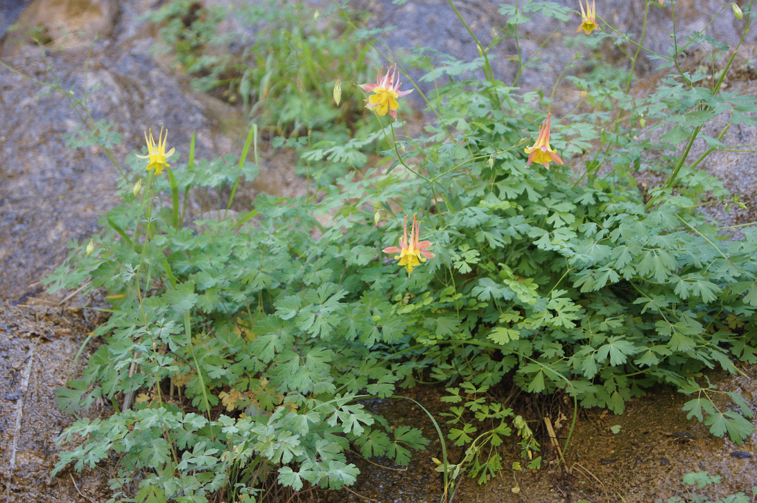 Zion_NP-024