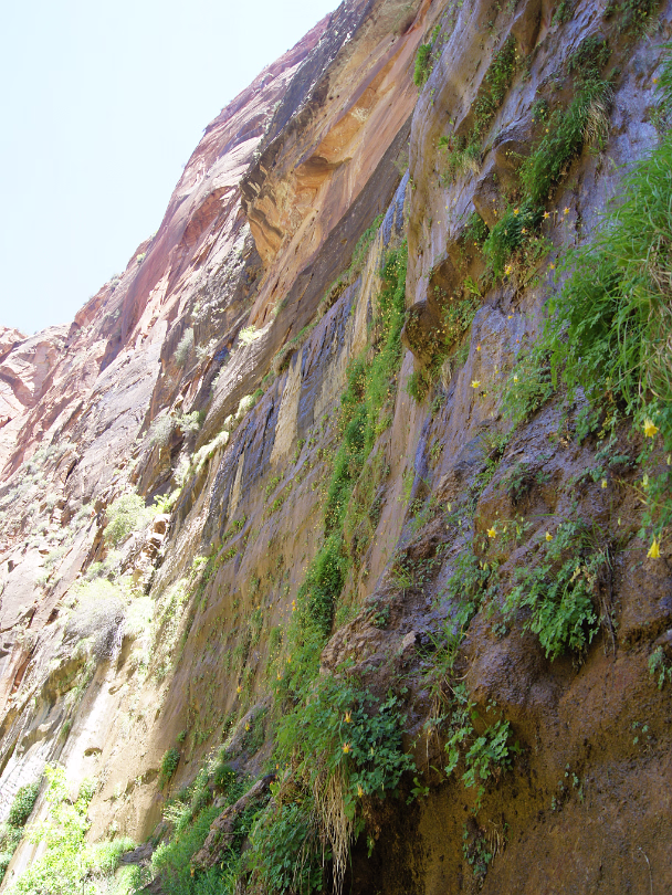 Zion_NP-025