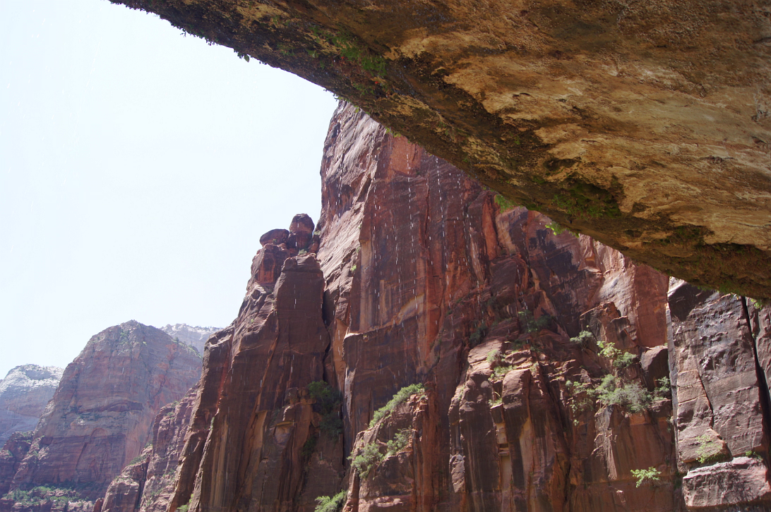 Zion_NP-045