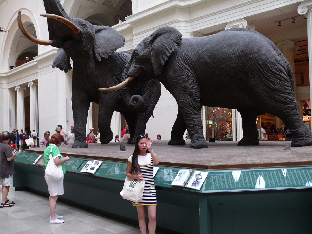 Chicago_Jul-_08-033