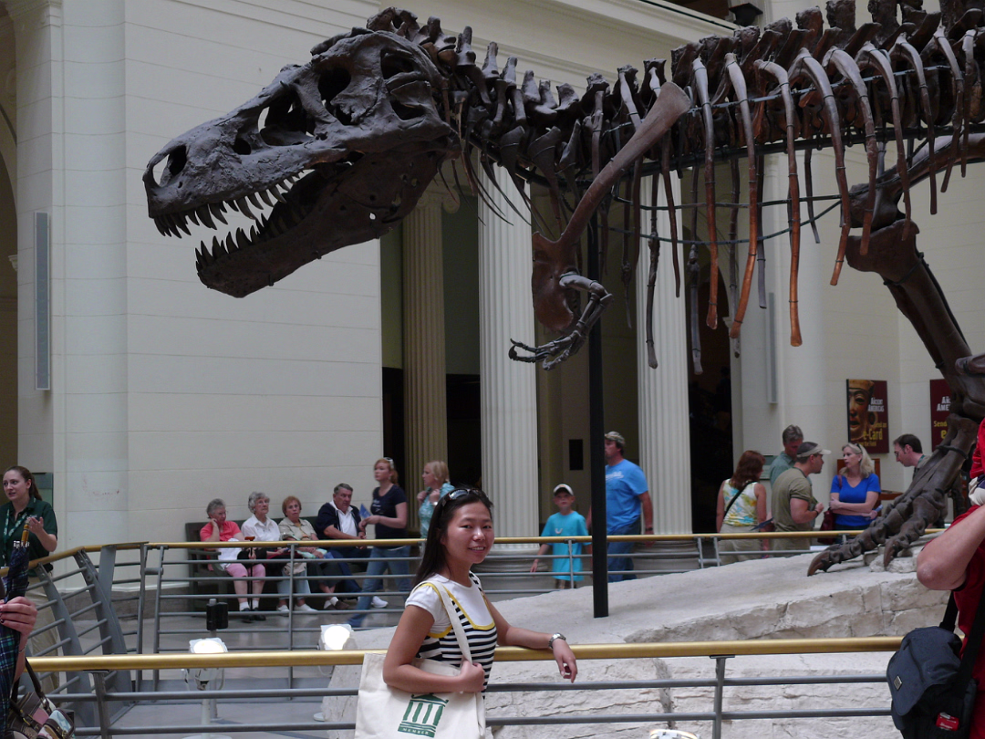 Chicago_Jul-_08-035