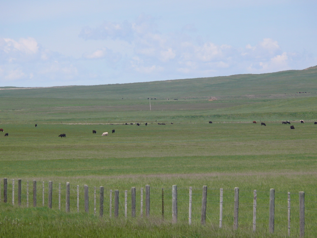 Custer-008