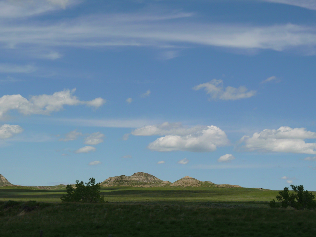 Custer-020