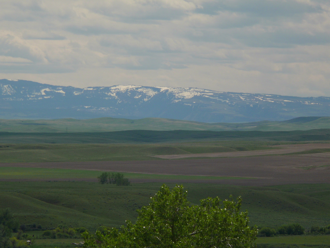 Custer-027