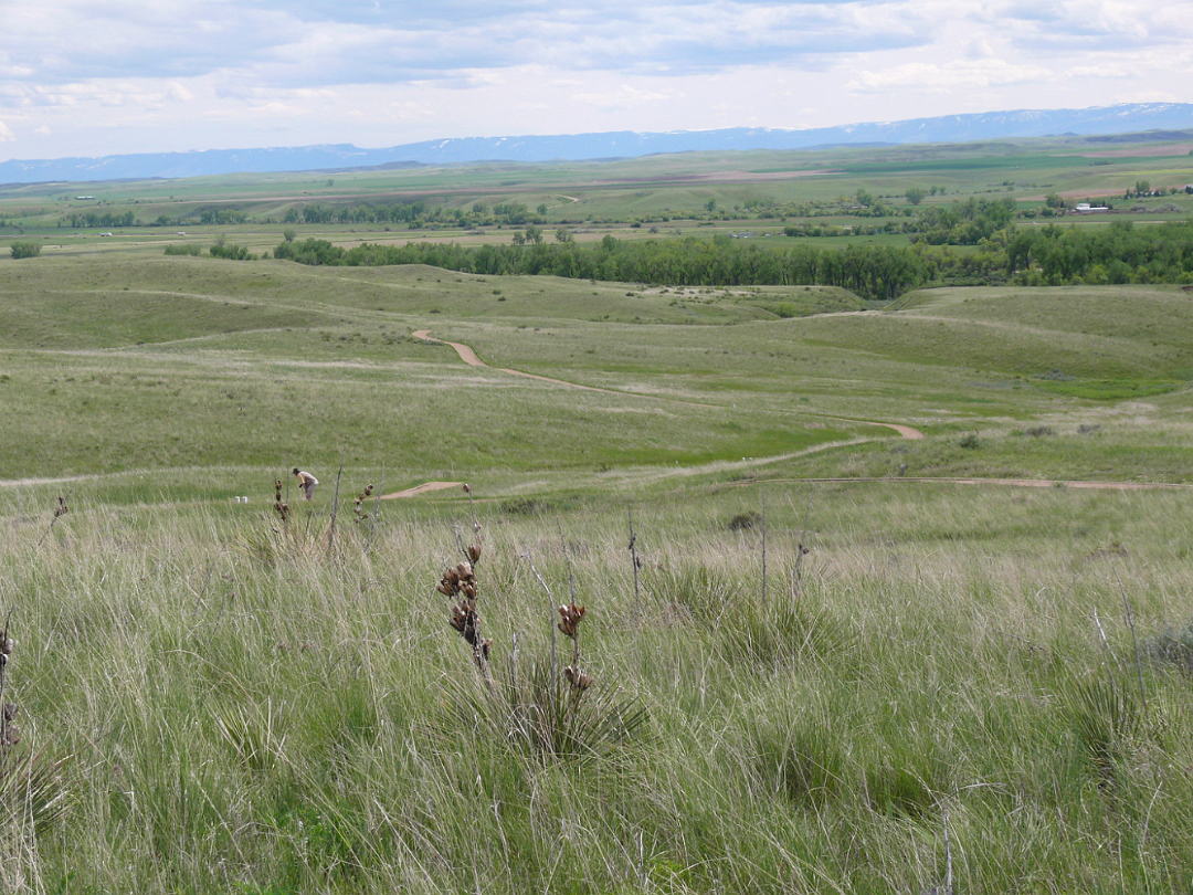 Custer-029