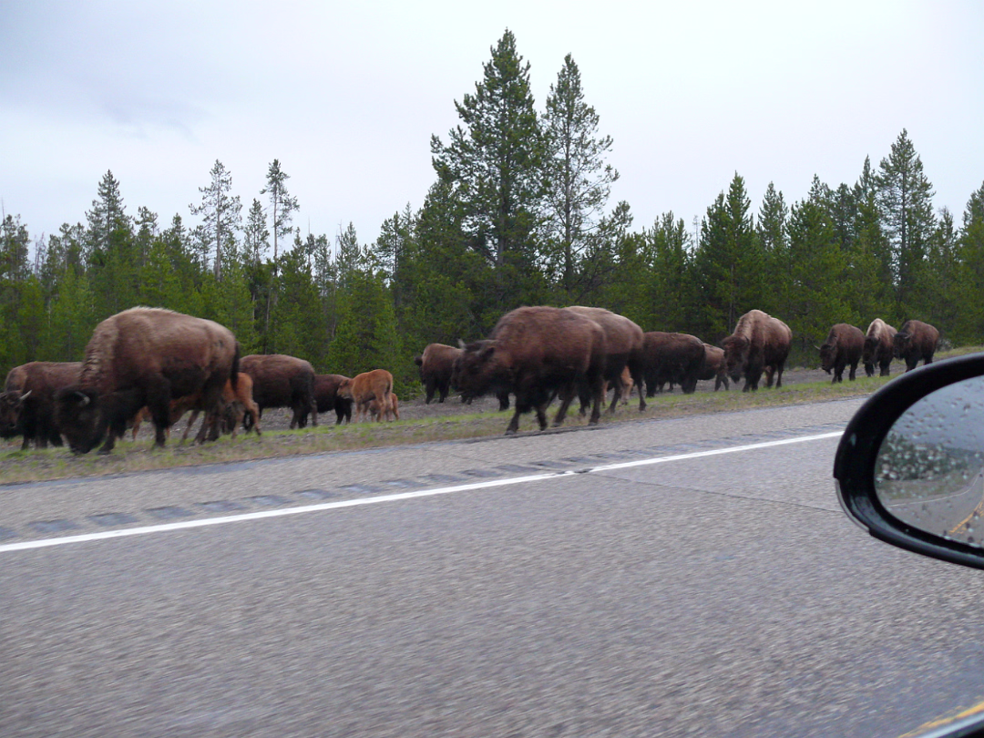 Yellowstone-002