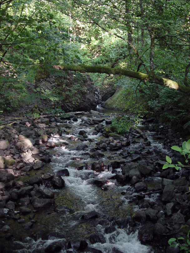 Oregon-024