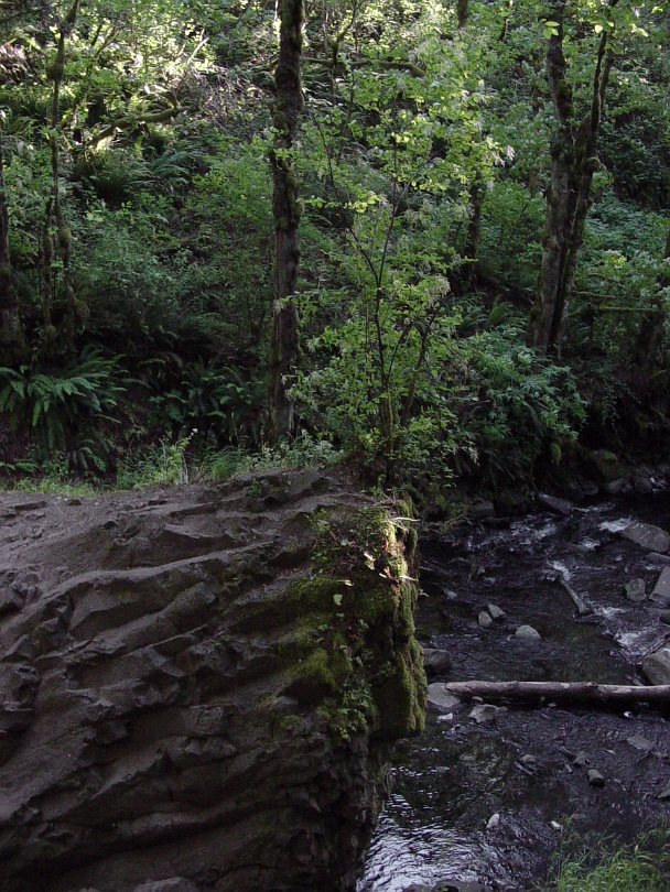Oregon-029