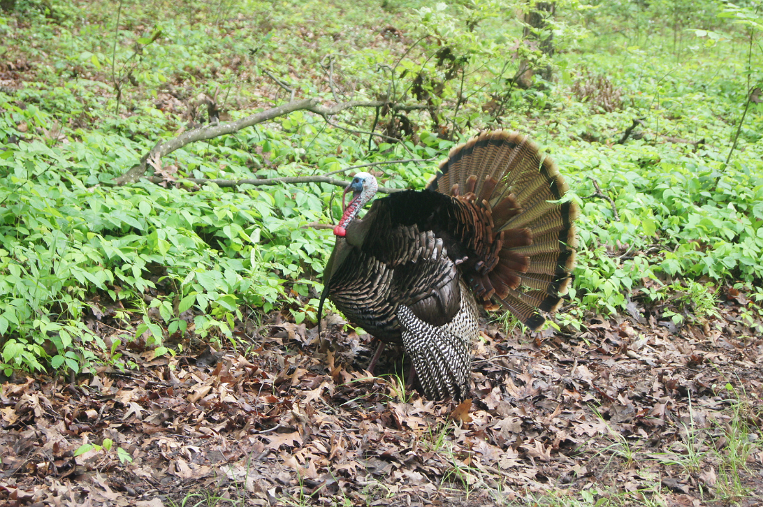 Southeastern_Trip_2013-013