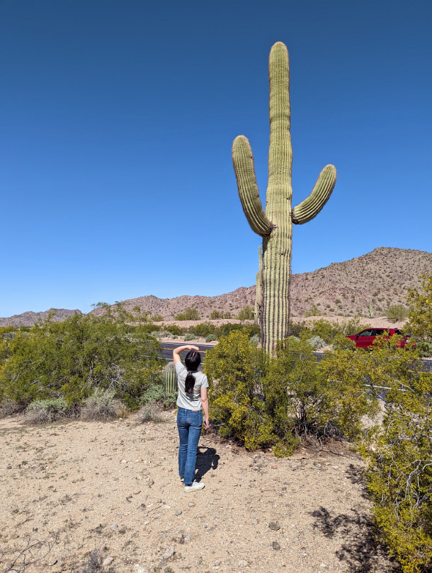 Southwest_2022-001