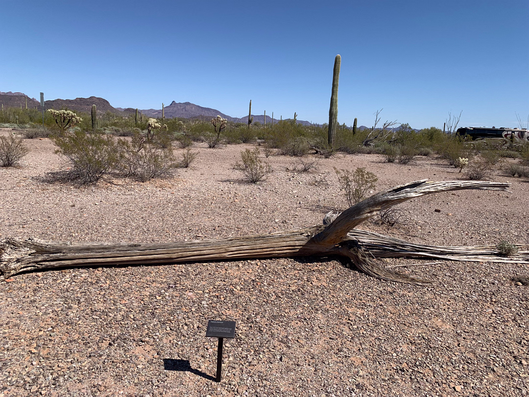 Southwest_2022-005