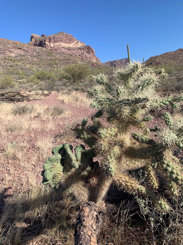 Southwest_2022-012
