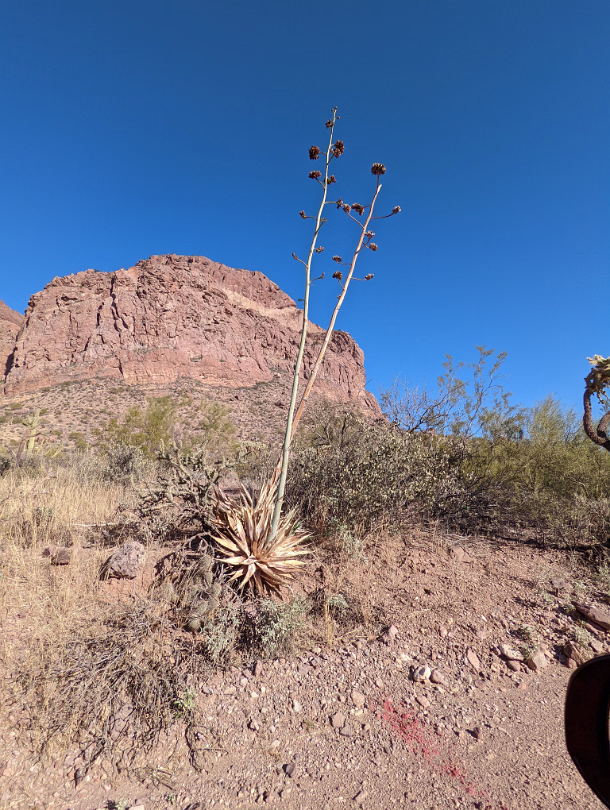 Southwest_2022-014
