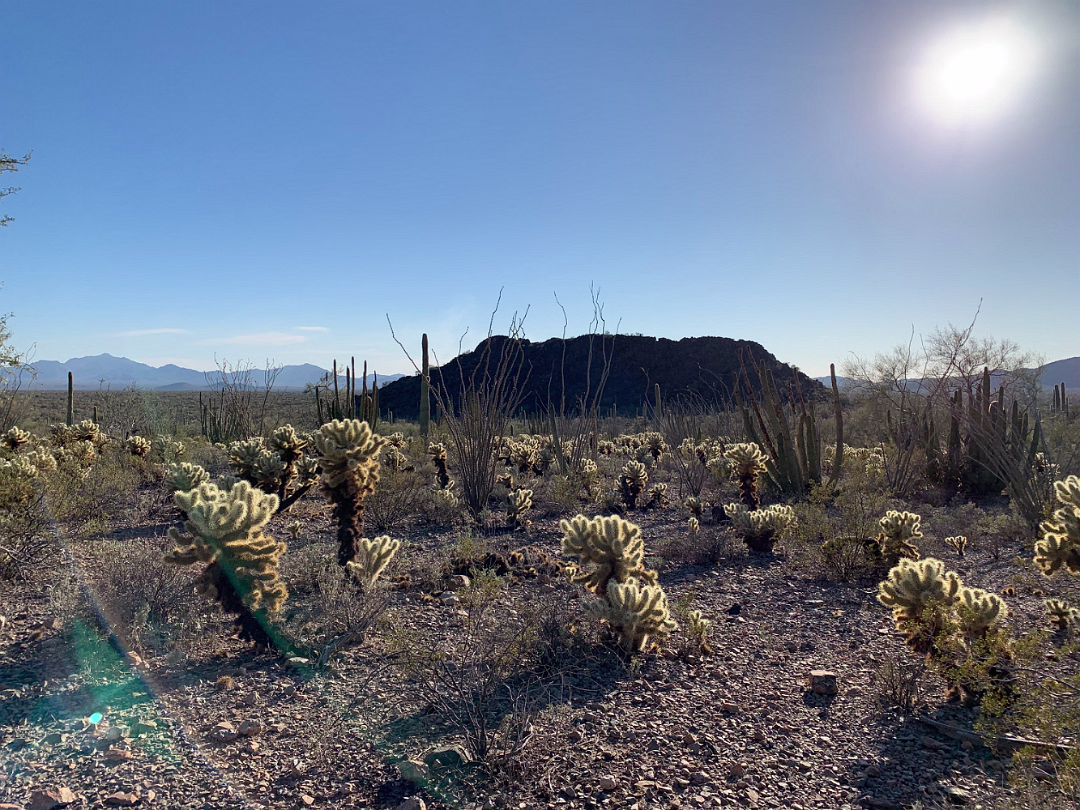 Southwest_2022-019