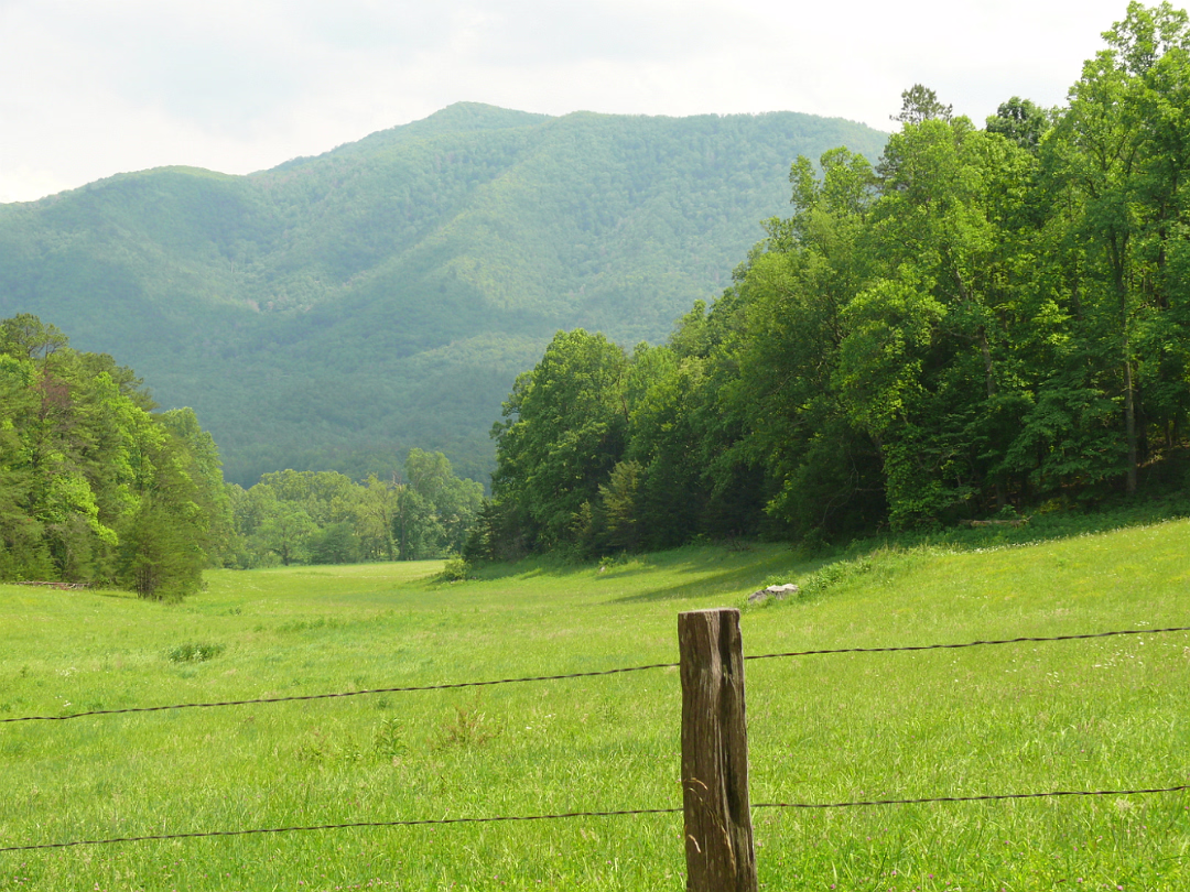 Tennessee-019