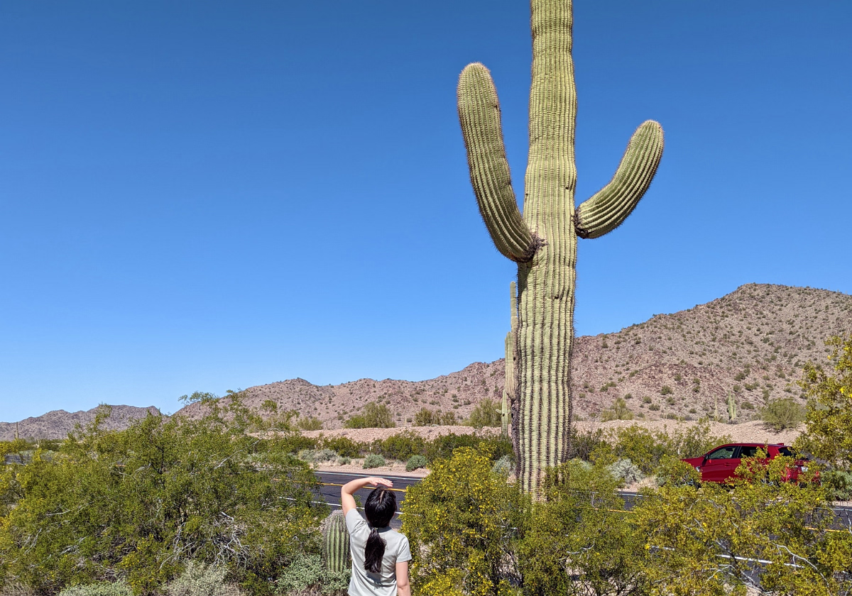 Southwest 2022 Southwest 2022 Our Visit to the Desert Southwest